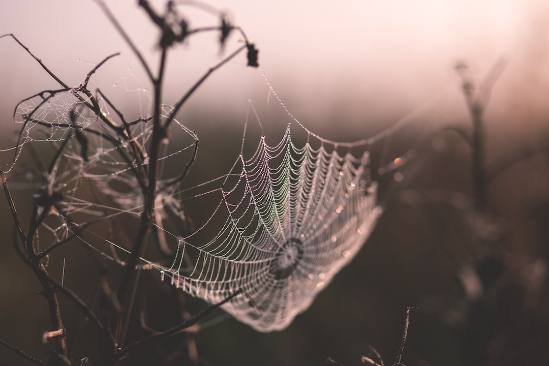 Halloween 2022 : 10 activités à faire avec vos enfants !